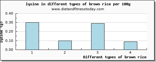 brown rice lysine per 100g